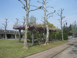 49c7b11d.jpg