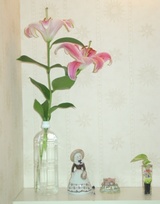 花 トイレ