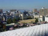 �ƤΥ饰������