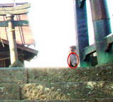 08a0d754.JPG