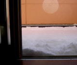 23449b88.JPG
