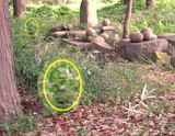 27ac5983.JPG