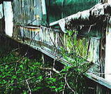 2c7778b9.JPG