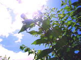 2cf3503a.JPG