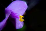 3315d4d9.JPG