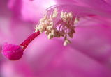 33247e97.JPG