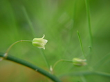 3497217d.JPG