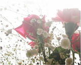 3b698923.JPG