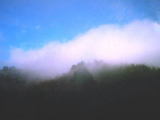 4bc87b84.JPG