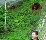 545f6ea9.JPG