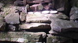 5d3e5497.JPG