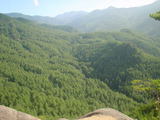 6154d9df.JPG