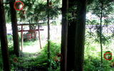 62340c1a.JPG