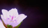 6a097d92.JPG