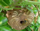 7531989a.JPG