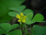 7d541ca6.JPG