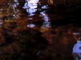 87f6a5e7.JPG