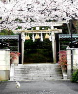 8d9533d0.JPG