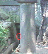 957223ac.JPG