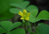 abd94236.JPG