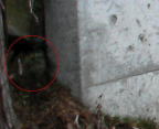 b1b0117a.JPG