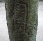 bbd16df4.JPG