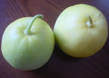 c0d551f3.JPG