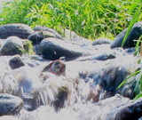 d37283d4.JPG