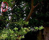 e2b0141c.JPG