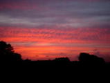 e8744770.JPG
