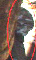 edfc2af0.JPG