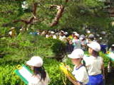 f7ab9a38.JPG