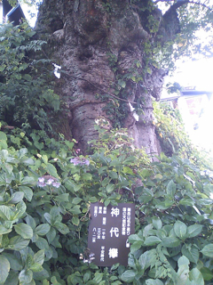 SN3G0622