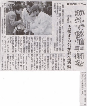 report_img1123-thumb-440x533-5