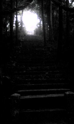 Image060