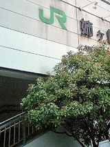 080806012 (1)