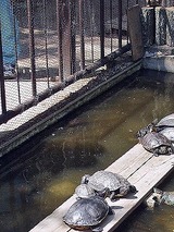08072005 (1)