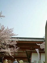 09080901 (1)