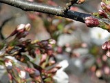 09050901 (1)