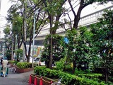 080728 (1)