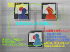国籍法改正案まとめWiki