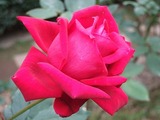 DSCF8079