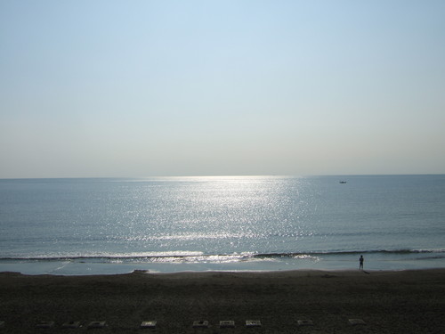 DSCF8029