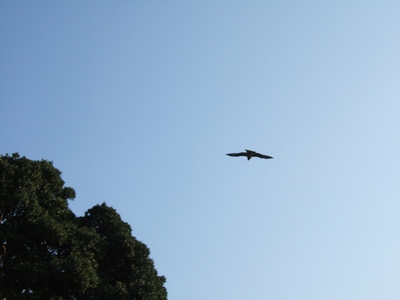 DSCF8041