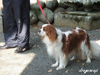 20091031 048