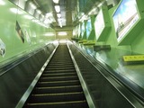 DSCF8037