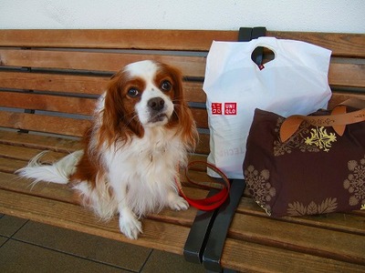 PHOTO002