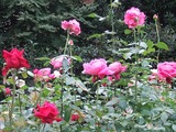 DSCF8078