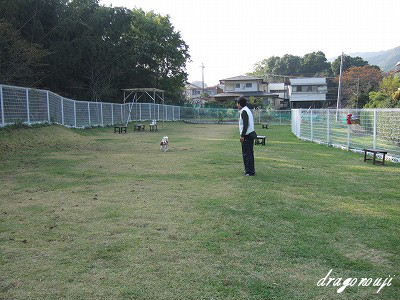 20091031 063