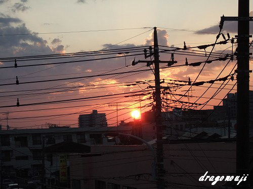 DSCF8124